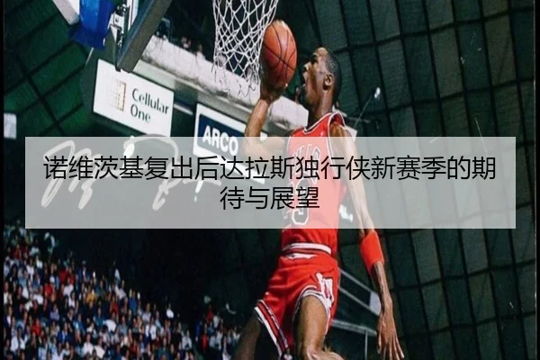 诺维茨基复出后达拉斯独行侠新赛季的期待与展望